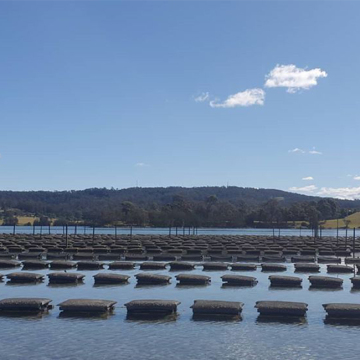 PVC PE Oyster Growing Wire Mesh