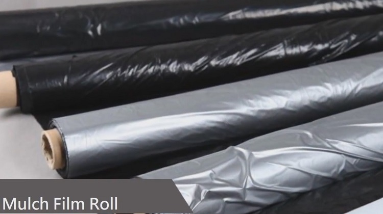 mulch film roll