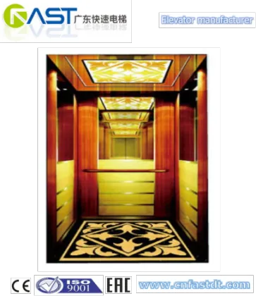 FAST Famous Brand good lift elevator
