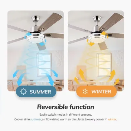 Modern Led Ceiling Fan with Light