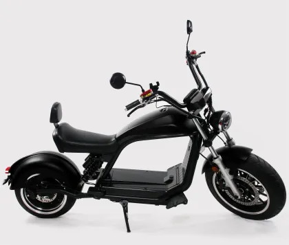 EEC COC Luqi Electric Citycoco Scooter on Sale
