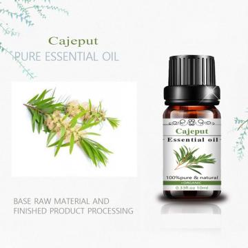 100% Pure Natural Organic Aromatherapy Cajeput Essential Oil