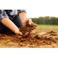 Eco-Friendly Soil Conditioner for Improved Fertility