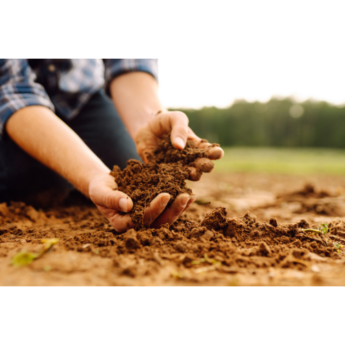 Eco-Friendly Soil Conditioner for Improved Fertility