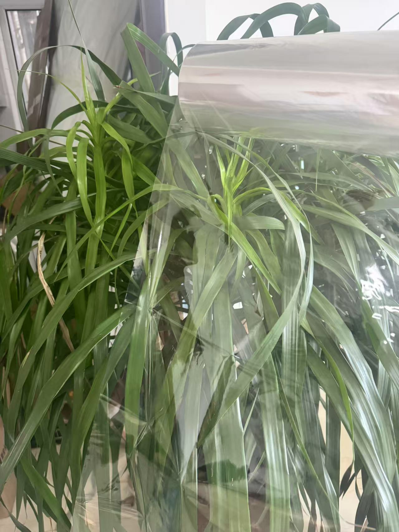 Transparent BOPP film flexible packaging