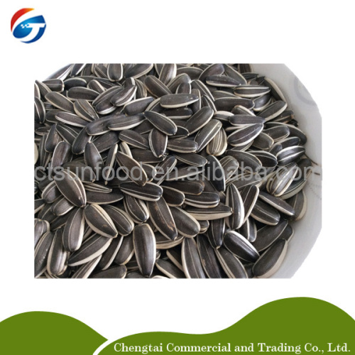 Chinese non gmo long type sunflower seeds
