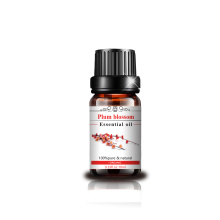 10ml Body massage oil plum blossom essential oil for Skin Body Care