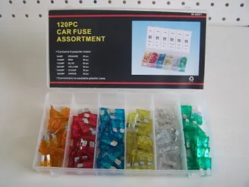 Auto Fuse Hardware Assortment 