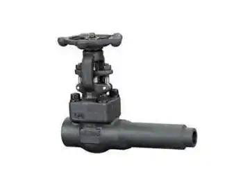 Extended Forged Gate Valve