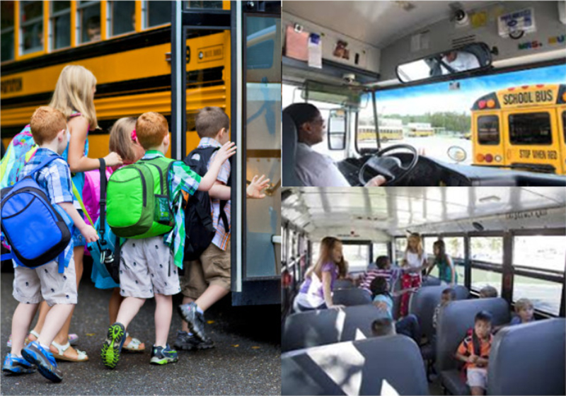 School bus safety system