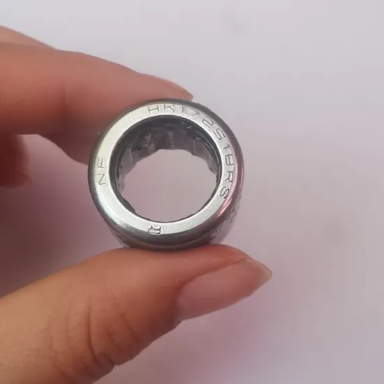 Competitive Price Factory Supply Needle Bearing 310-8079 F-222625 Cage Assembly with Inner Seal Lip