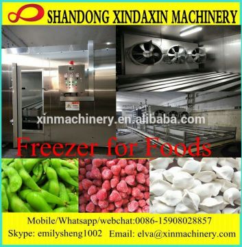 Tunnel Refrigerator Freezer for Fruit/Vegetable/Meat; Blast Freezer with compressor