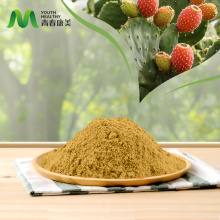 Revitalizirati kožu čistim serumom ekstrakta kaktusa