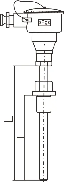 Transmițător de temperatură integrat antideflagrant 02