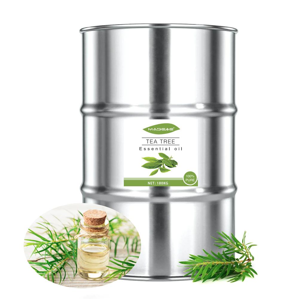 Planta natural Australiantea Árbol esencial de aceite en productos cosméticos diarios Price a granel al por mayor Aceite de árbol de té