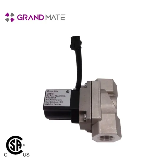 Safe device electronic natural lpg gas solenoid valve