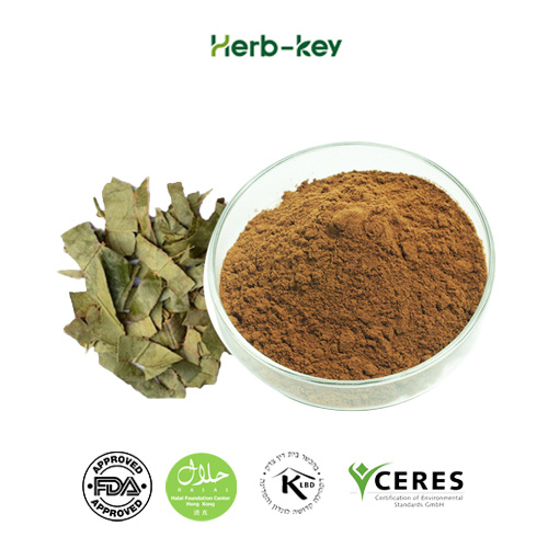 Horny goat weed extract Natural icariin 98%