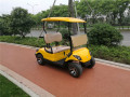 Carrello da golf a gas a 2 posti 300CC