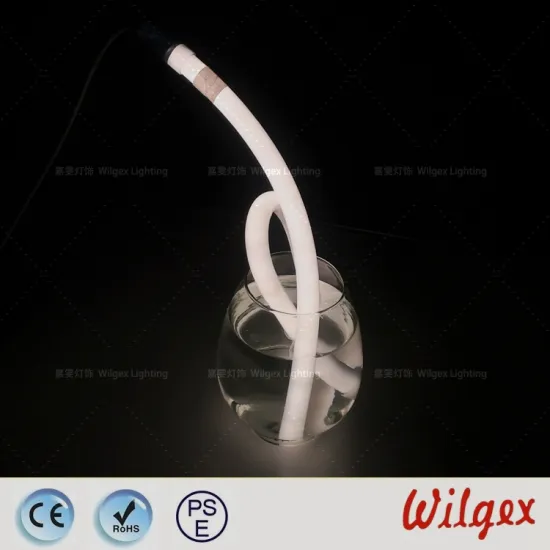 LED Neon Flex RGB/PWM control