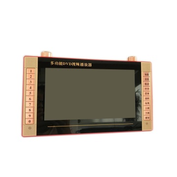 Portable video dvd player