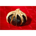 Safety Multi Black Garlic for Body Health