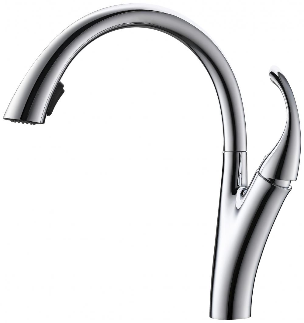 Concealed Sprayer Gooseneck Kitchen Faucet