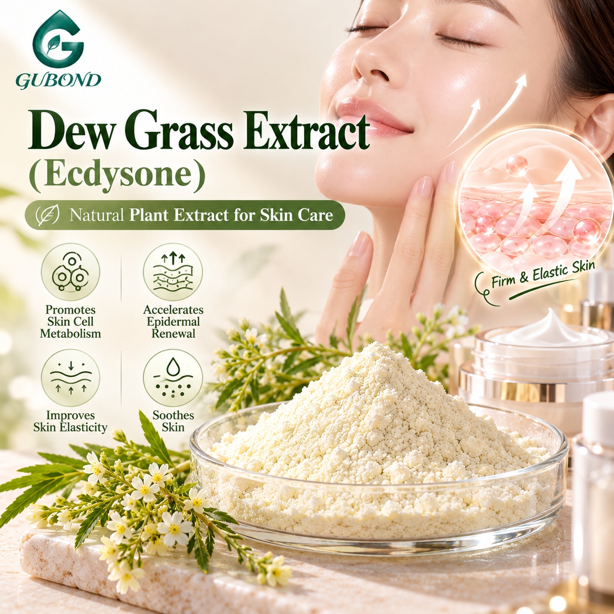 Dew grass extract (Ecdysone) (5)