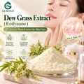 Extrato de grama de orvalho com 20% a 98% de ecdisona para formulações cosméticas e de rações