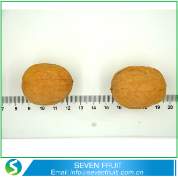 Wholesale Raw Walnuts In Shell Price