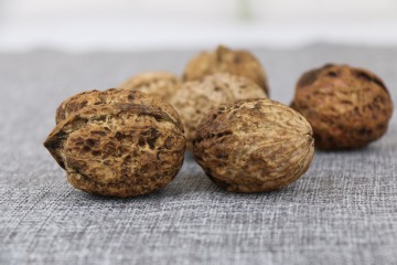 Premium Unwashed In-Shell Walnuts Fresh Crop