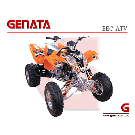 EEC 300cc ATV Polaris (ATV_GT300ST-2)