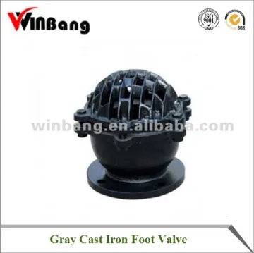 Cast Iron Foot Valve Model:WB-H42X