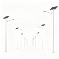 double arm pole light