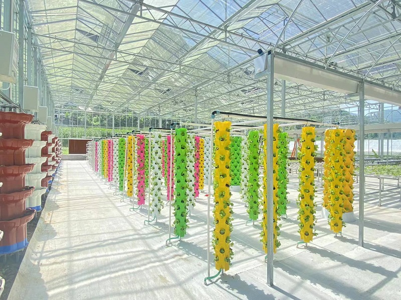 Qingcheng Agriculture's Crafted Pengshui Glass Greenhouse Project: Soilless Cultivation Industrial Park Launched and Operational