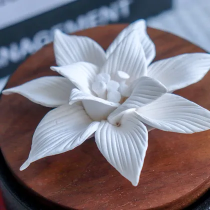 Ceramic Jar with Wood Lid and Natural Sweet Wood Design