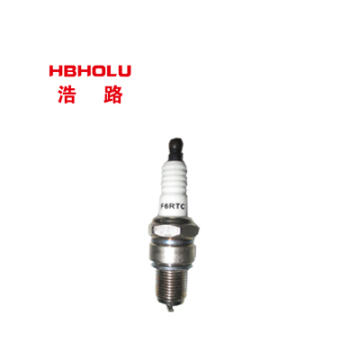 Spark Plug F6RTC for Great Wall Deer Safe" could be shortened and optimized for a search engine as:

"Spark Plug F6RTC Great Wall Deer Safe