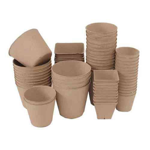 Biodegradable Eco-Friendly Molded Pulp Promedling Pot