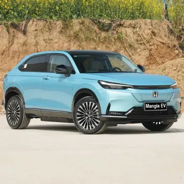 Hot Selling Adult Electric Car for Sale in 2023 New Electric Car with 4 Wheels and 5 Seats