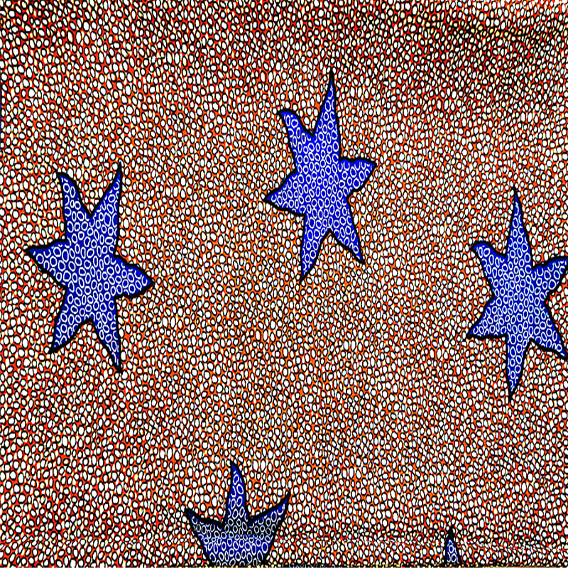 Polyester Knit Africa Fabric