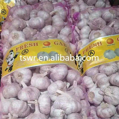 2020 New Season China Fresh Garlic