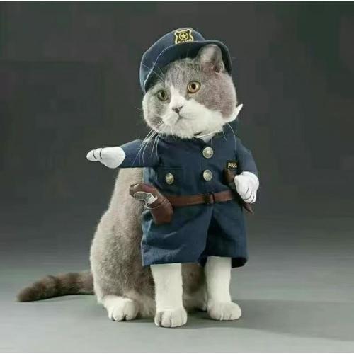 Kitten cop clothes come with stuffed hands