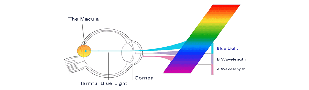 Anti Blue GOB LED Display Explanation