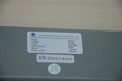 Chain actuator motor for smoke and ventilation system