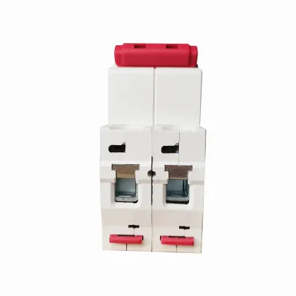 SunRo Brand Mini Circuit Breaker 63A 1000V 2 Pole DC