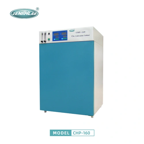 Chemical or Biology Laboratory Test Chamber Temperature Drying Oven - China  Incubator, Drying Machine