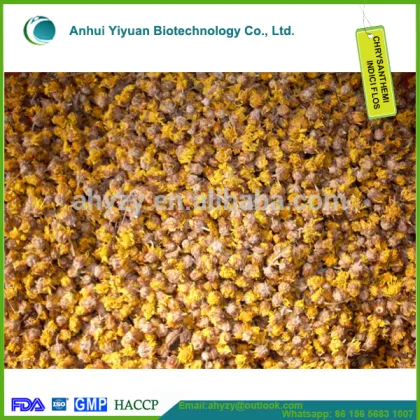 Chrysanthemi indici flos and yejuhua
