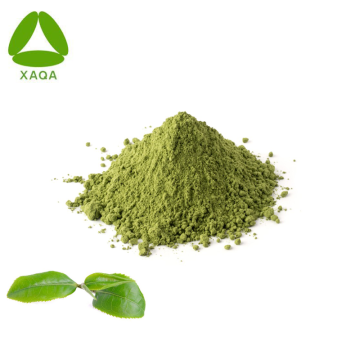 Органический качество 3А Greate Tea Matcha Powder