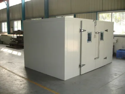 Ice cream cold storage room