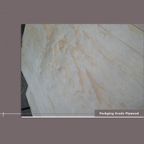 First Class Packaging Plywood 9 Mm