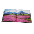 High-quality and affordable book printing services